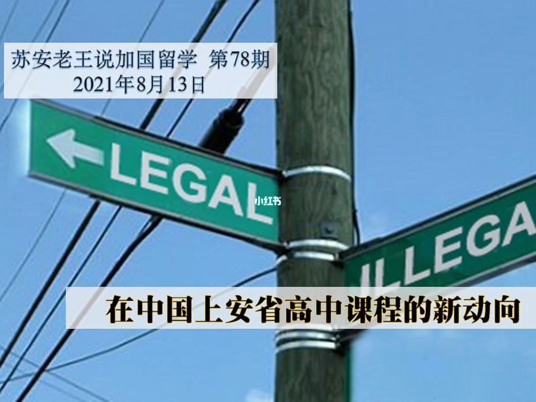 留学新动向，新留学生政策
