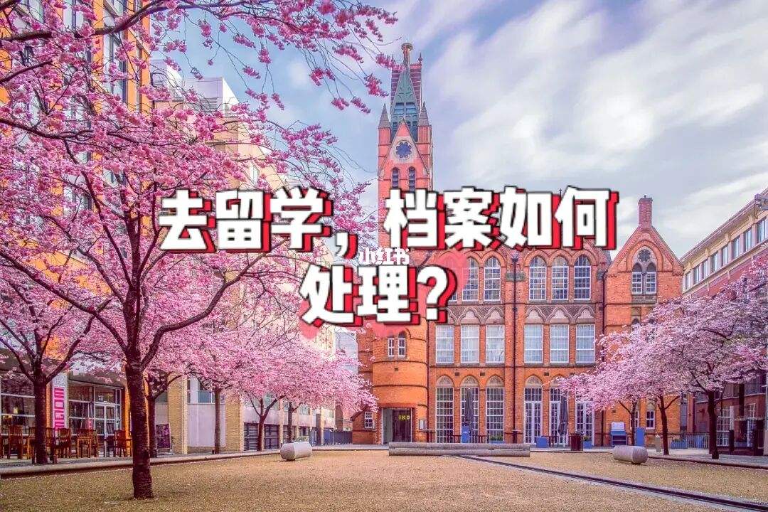 出国留学后档案怎么办，出国留学人员档案如何办理
