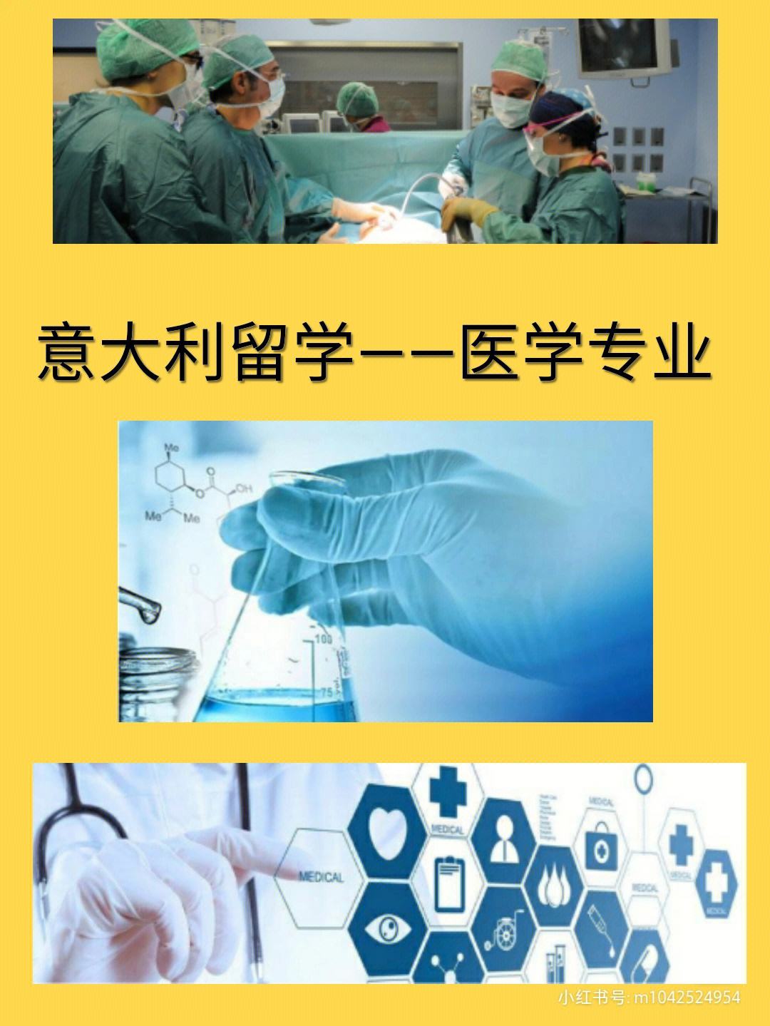 医学留学，医学博士留学