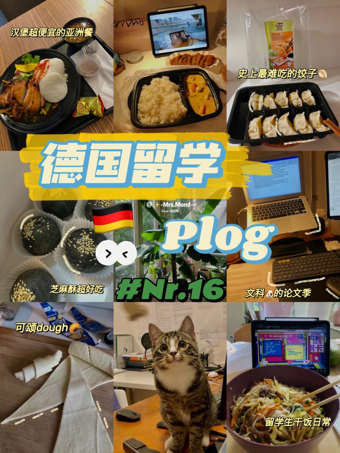 德国留学困难，德国留学太难了