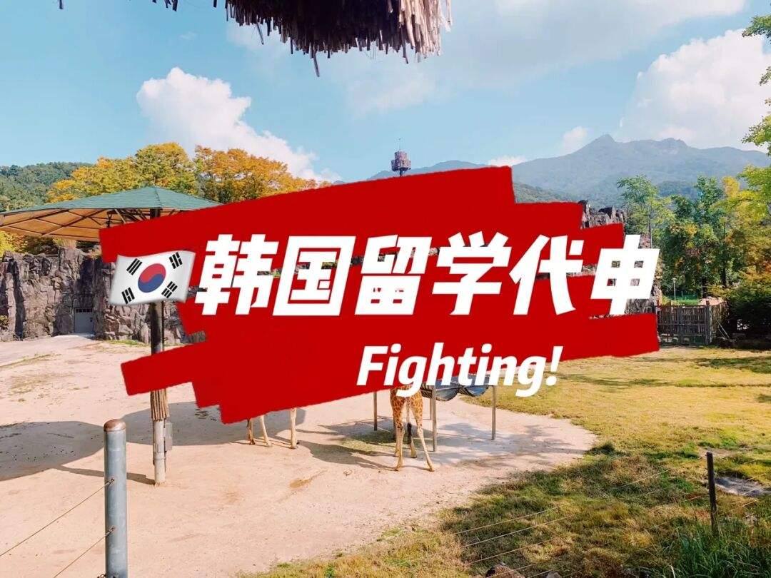 韩国留学流程，韩国留学手续流程