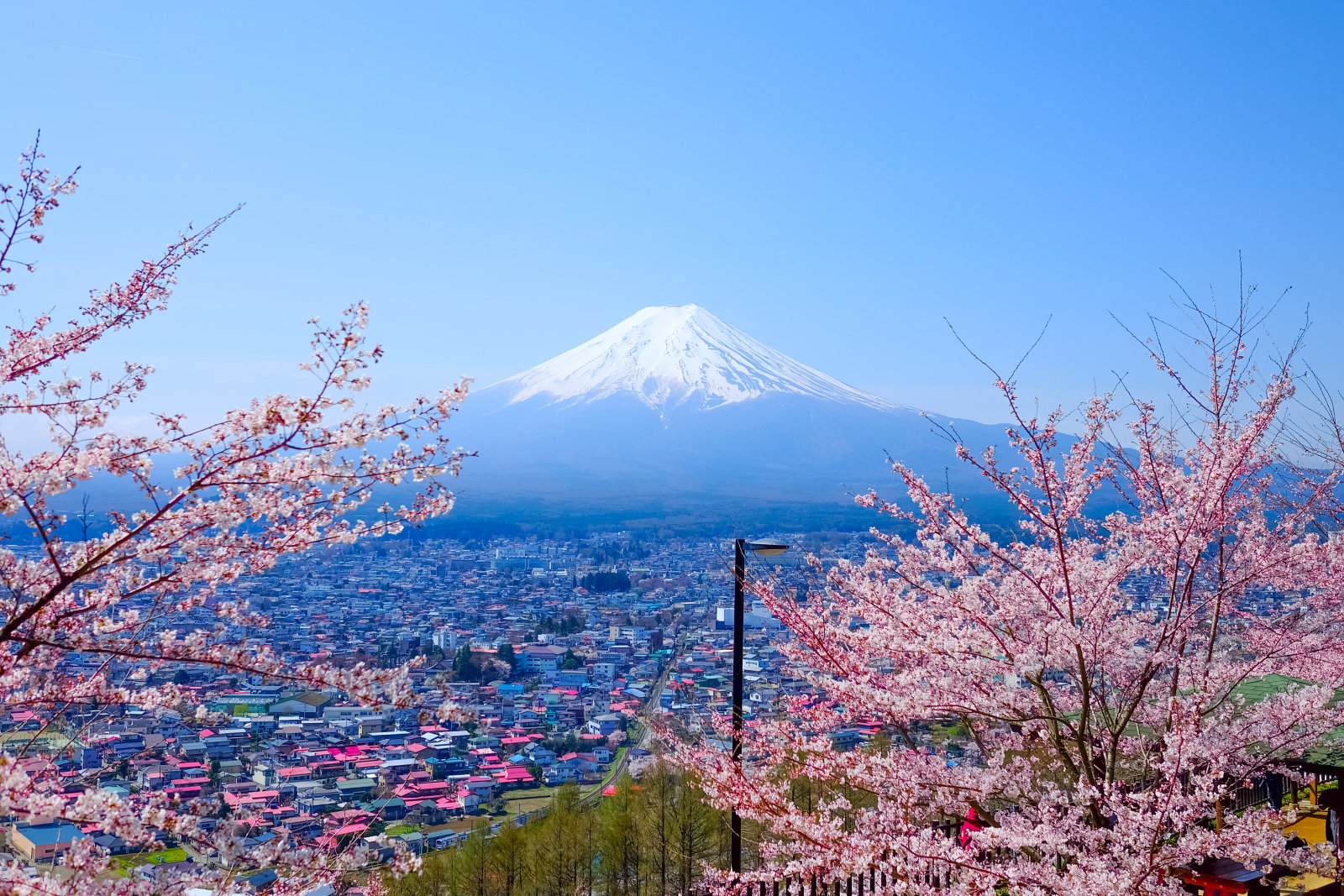 日本留学城市，日本留学城市有哪些