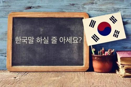 韩国留学报告，韩国留学报告书