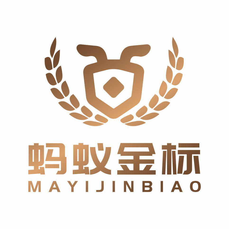 蚂蚁留学网，蚂蚁国际是骗局吗