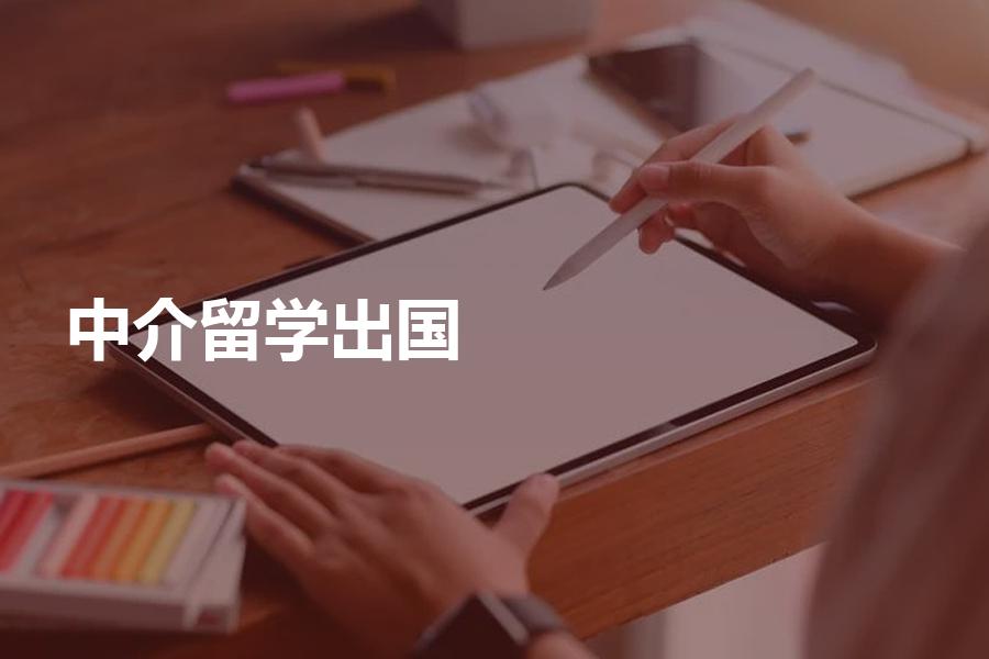 出国留学中介服务，办理出国留学中介公司