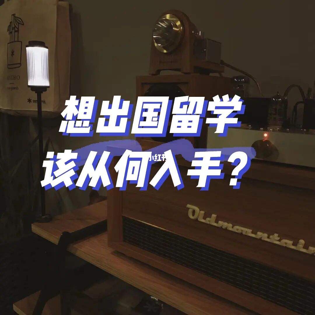 30岁出国留学是不是有点晚，30岁出国留学回来可以做什么