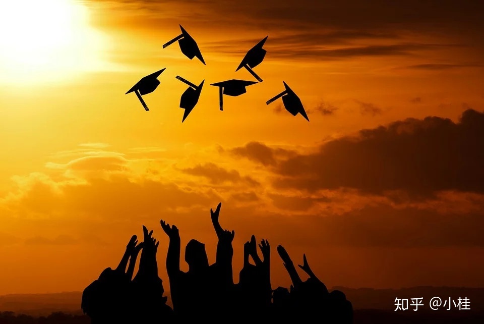 公派留学经验，公派留学流程图