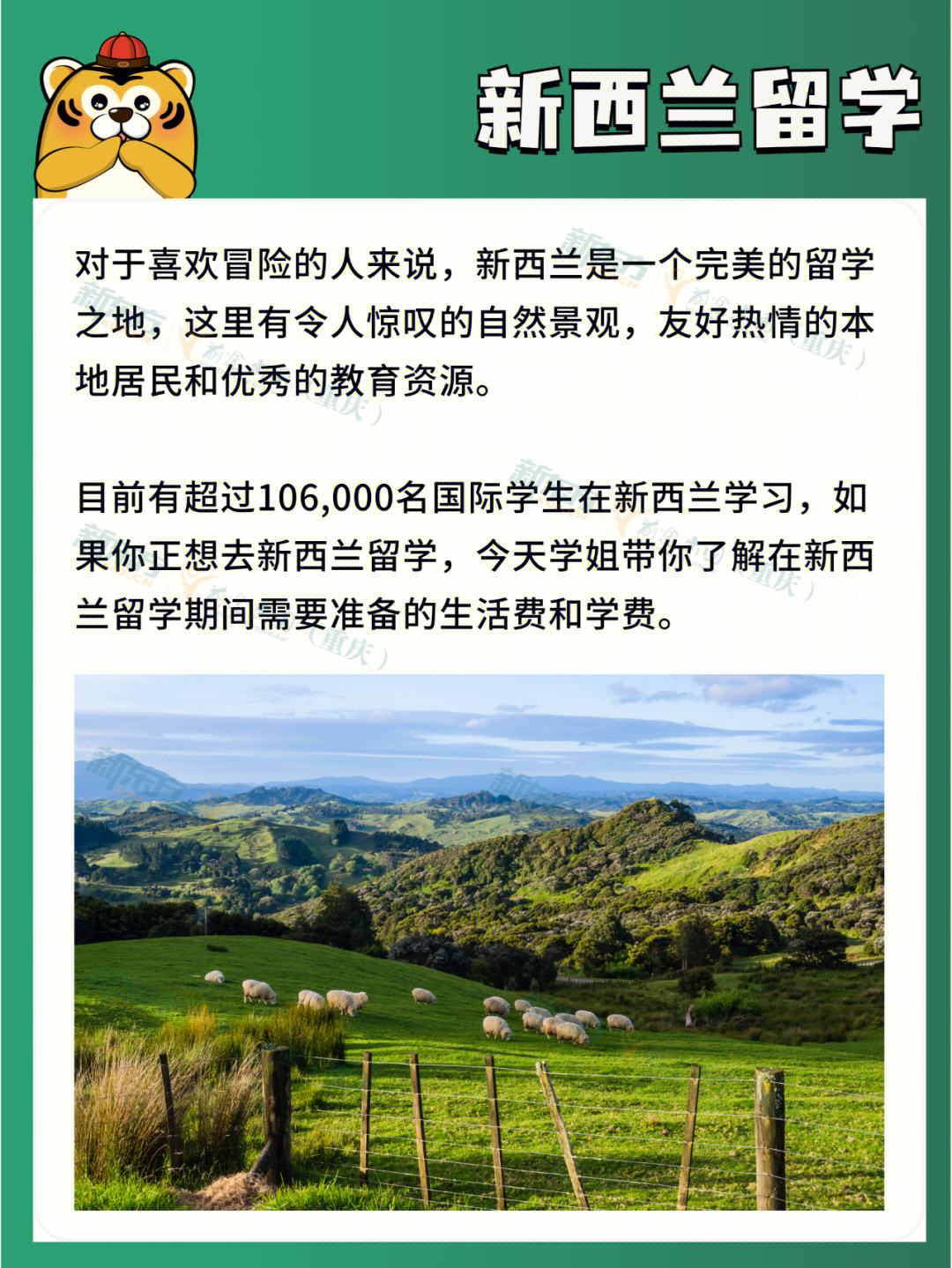 新西兰留学真实生活，新西兰留学一年生活费用