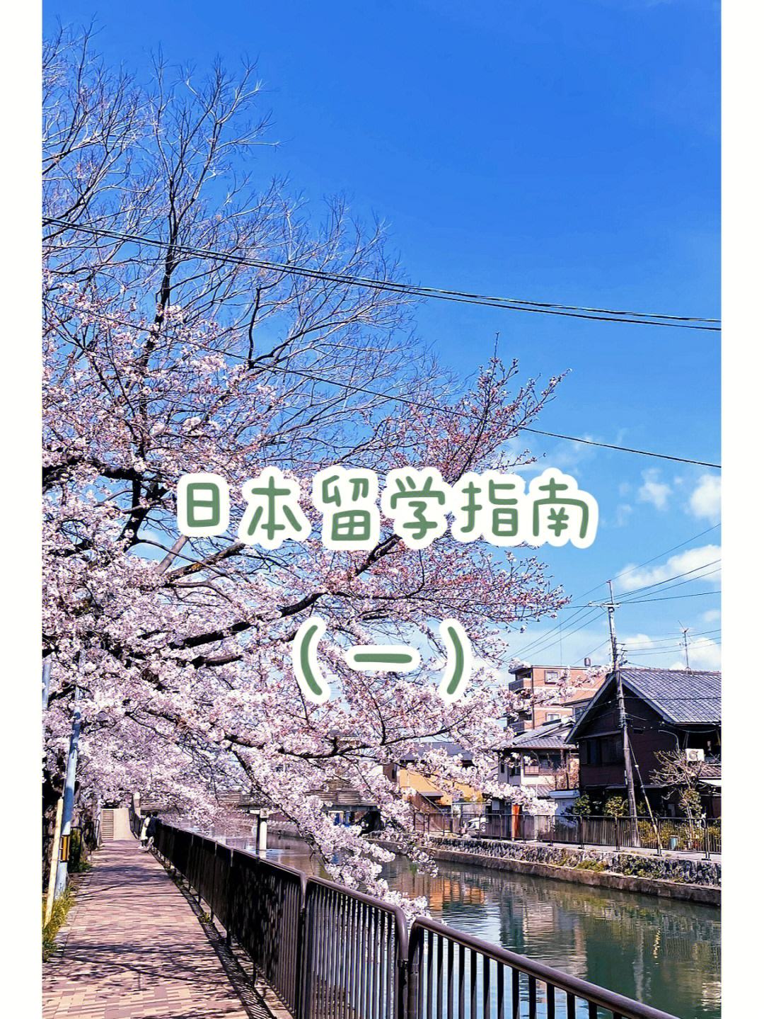 日本留学圈，日本留学圈托福成绩