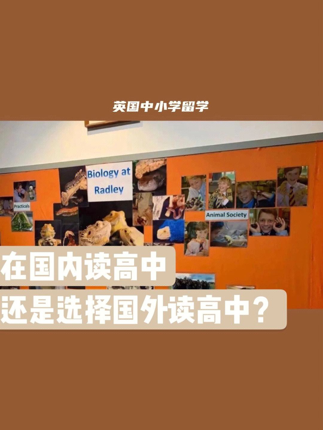 留学读国内，留学生上国内大学