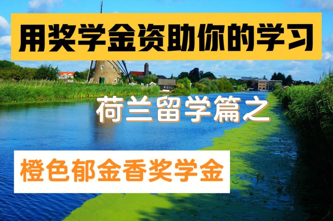 去荷兰留学怎么样，去荷兰留学怎么样知乎