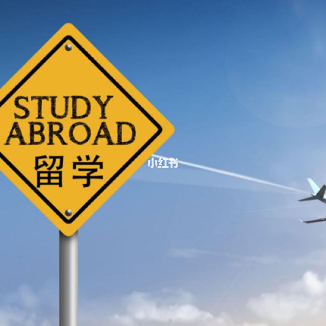 高一留学，高一留学咨询