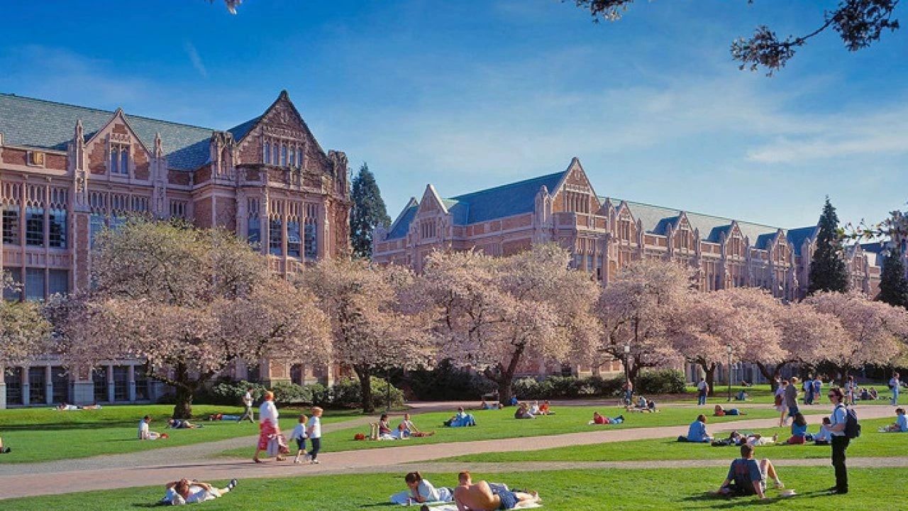 大学毕业去美国留学，大学毕业去美国留学的费用