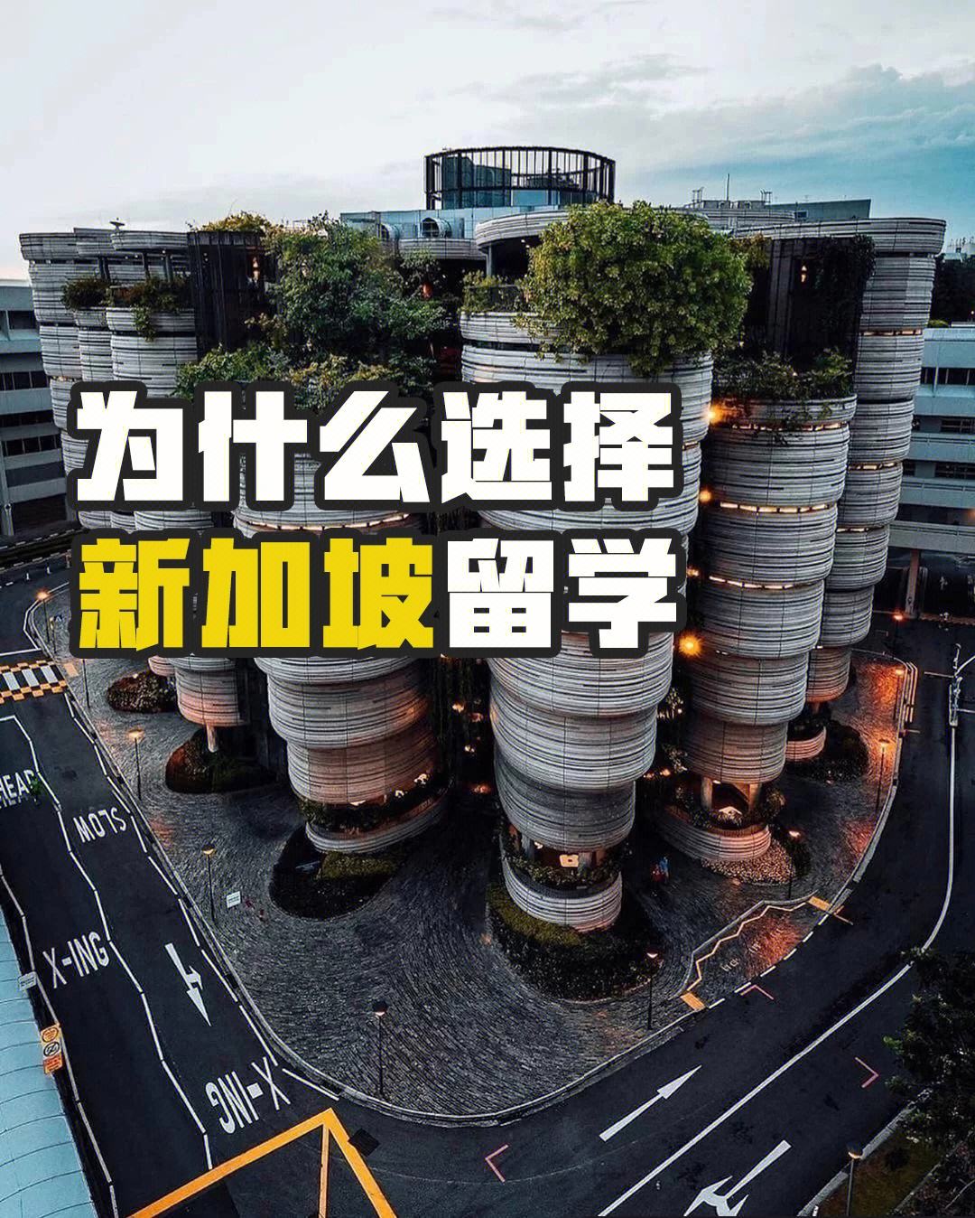 高中留学新加坡，初中去新加坡留学需要什么条件