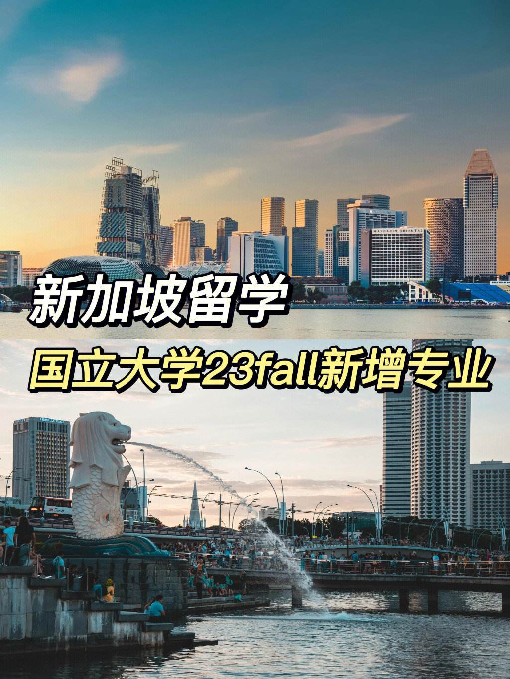 新加坡留学，新加坡留学咨询