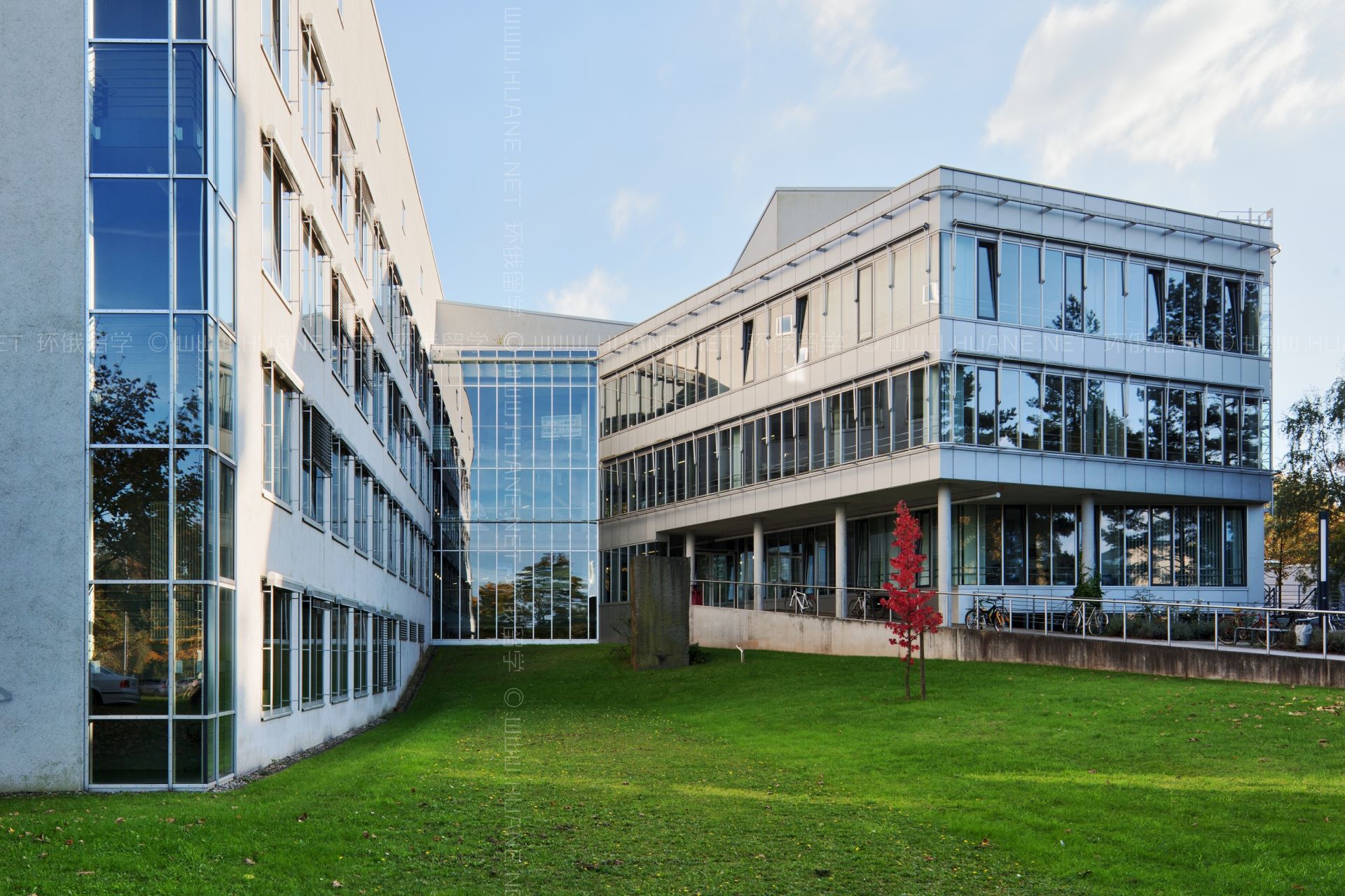 大学留学机构，大学留学机构排名