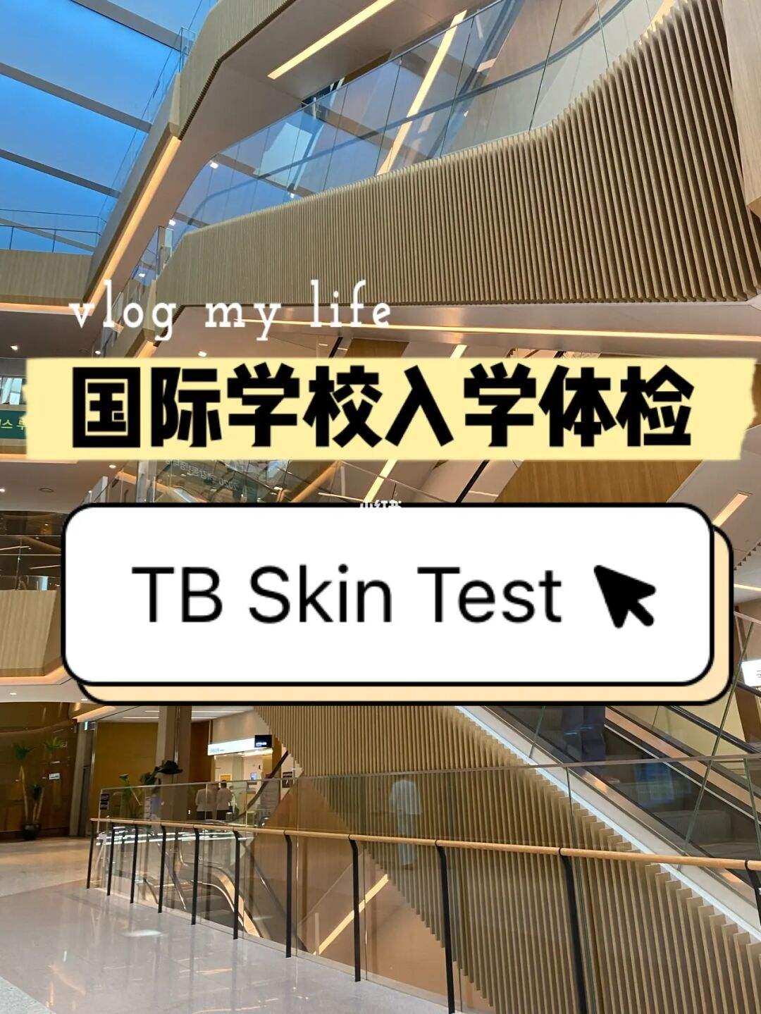 美国留学体检流程，美国留学体检流程图