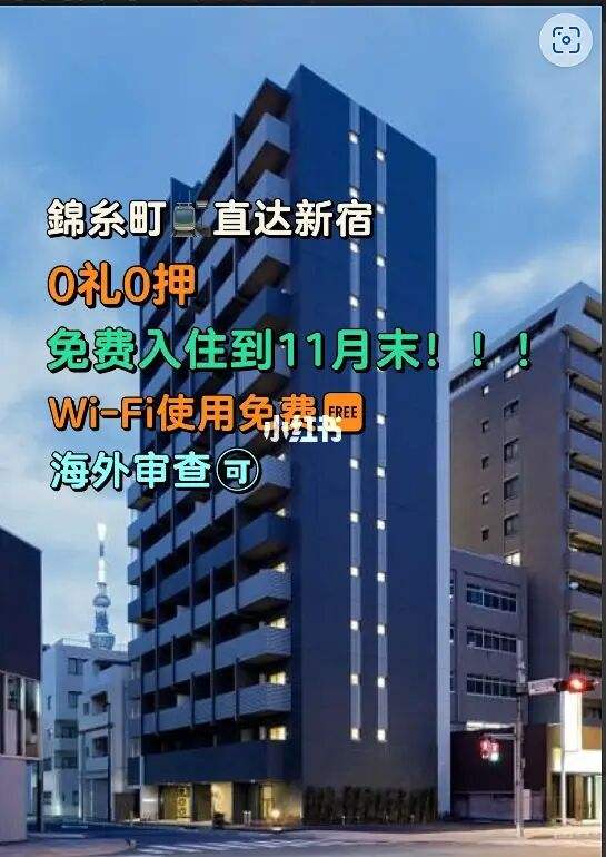 新宿留学，新宿dxd