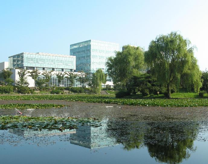 全南大学留学，全南大学留学生就业情况