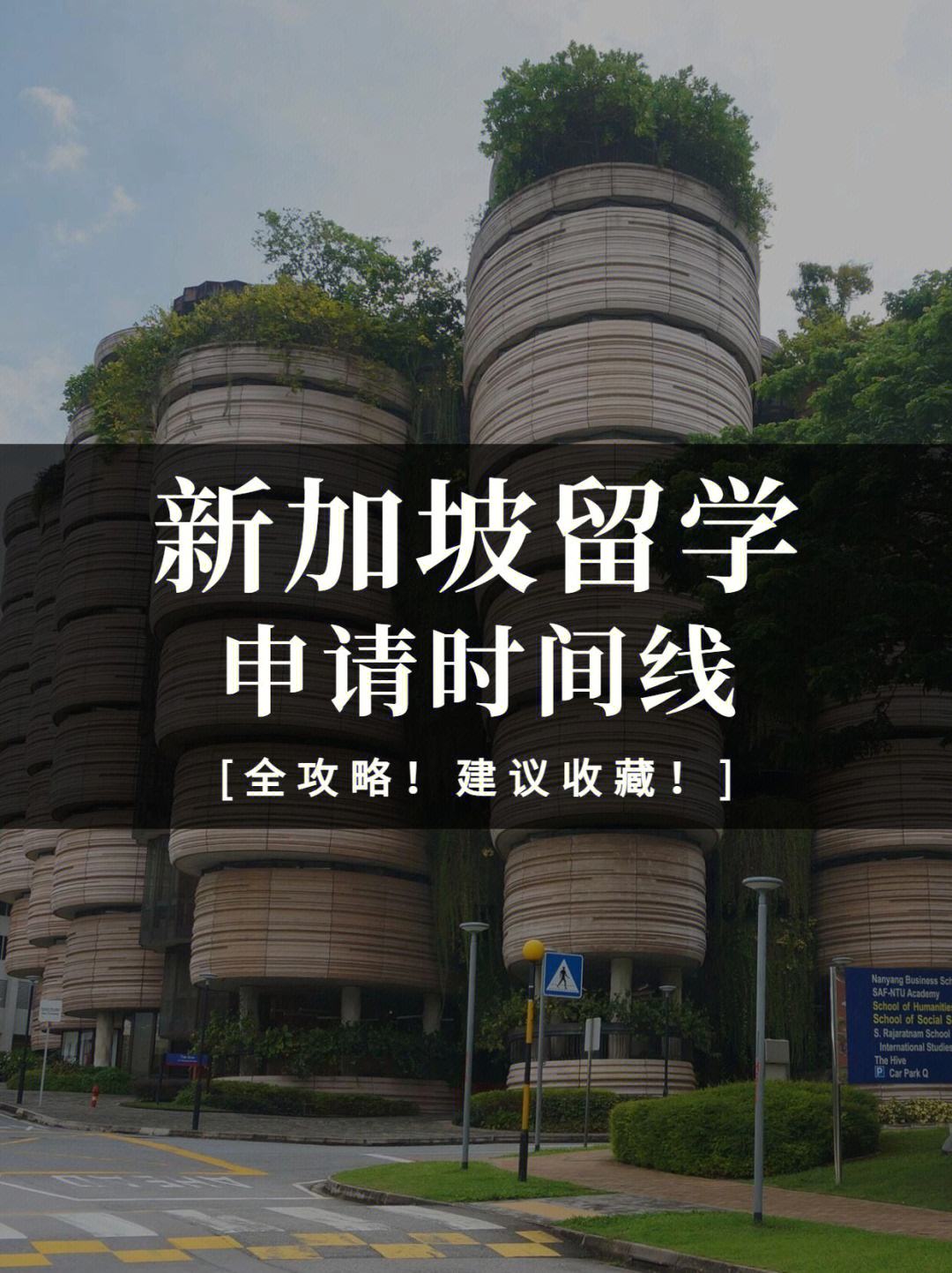 新加坡小孩留学，新加坡留学小学生