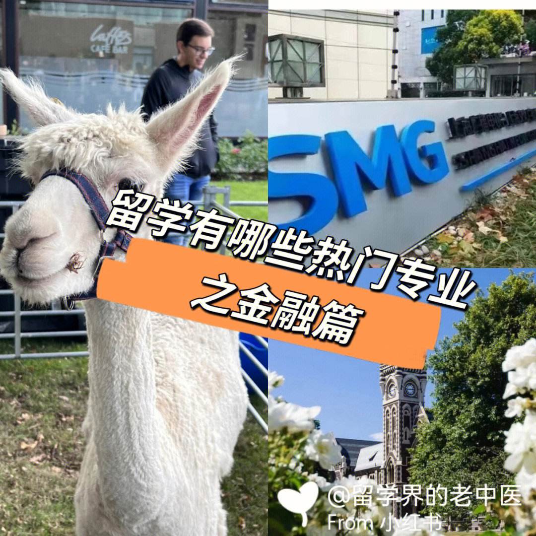 金融学专业留学，金融学专业留学新加坡在新加坡就业方向