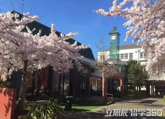 南方留学，去南方读大学好不好