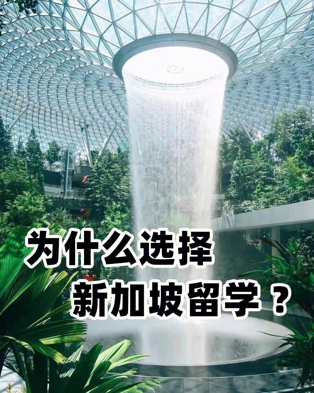 新加坡留学优劣，新加坡留学优劣势分析