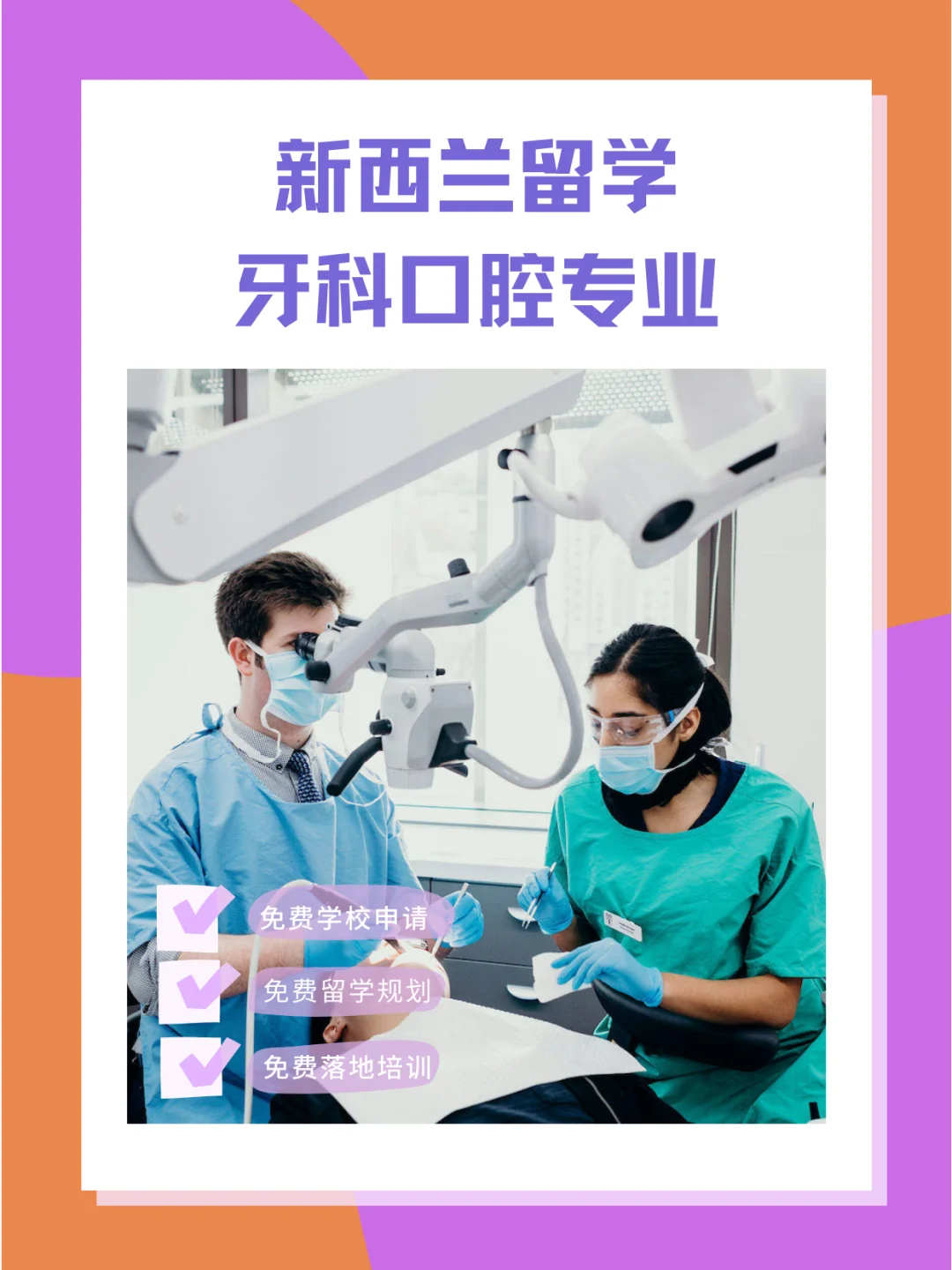 新西兰留学学什么专业，新西兰留学学什么专业好