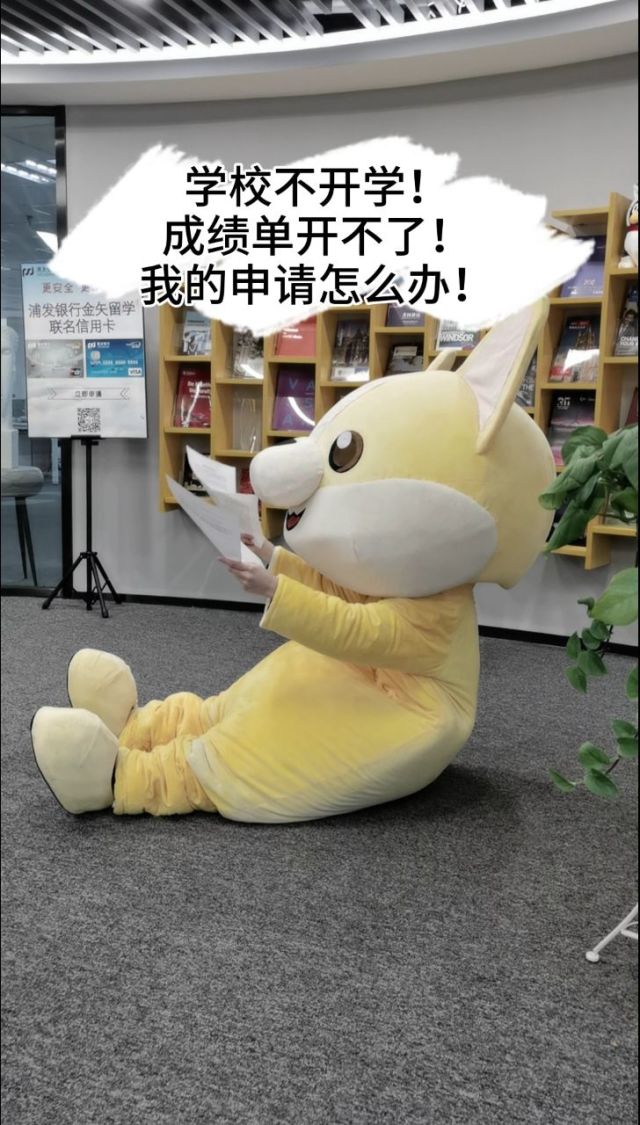 金矢留学电话，北京金矢留学真实评价
