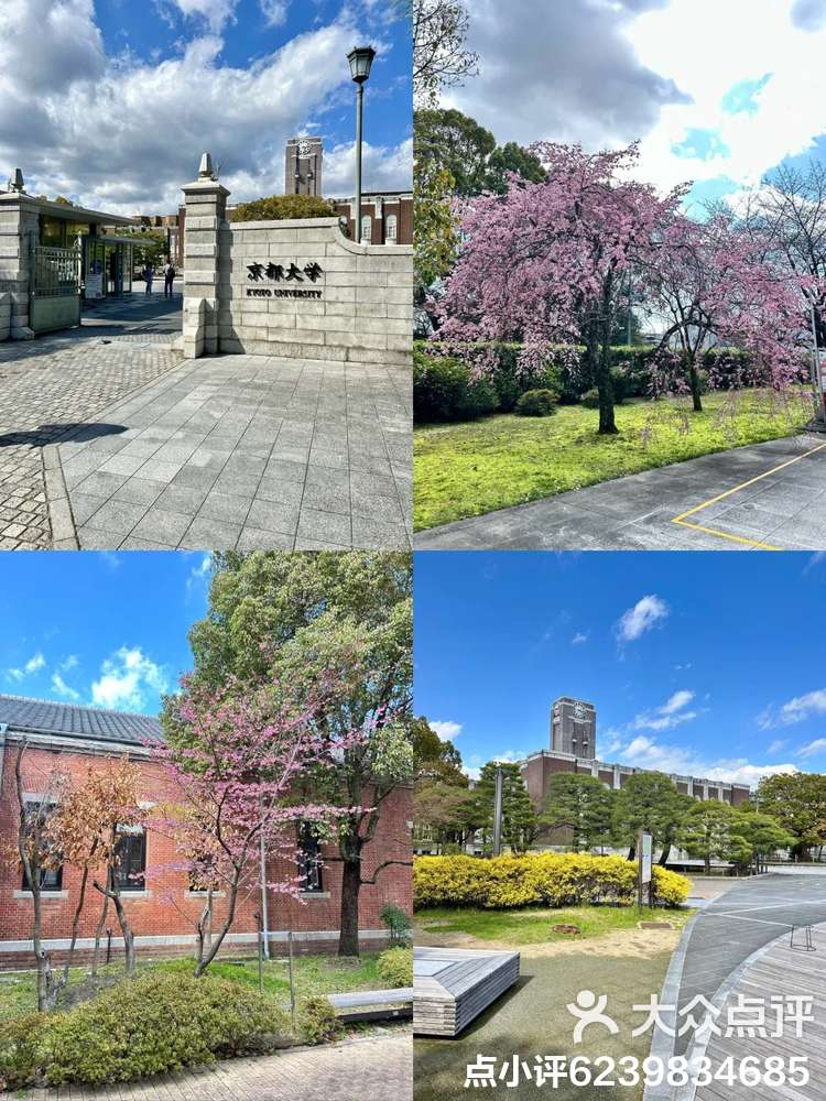 留学京都大学，留学京都大学申请条件
