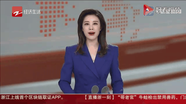 王小云讲区块链视频，王小云密码技术与区块链