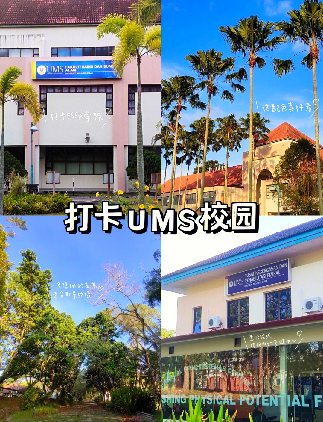 ivy留学，ivy留学机构