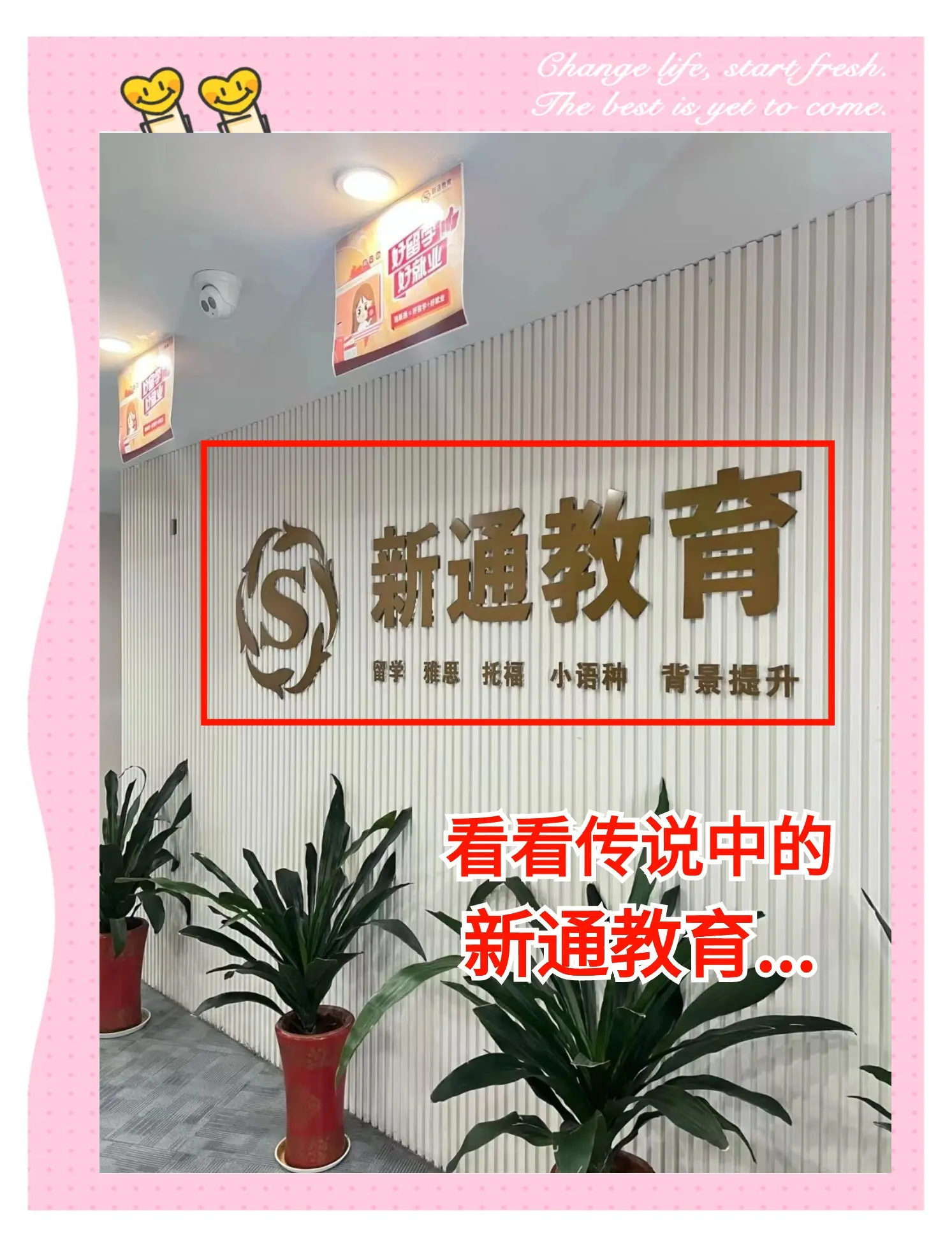 新通留学课程，新通留学费用多少