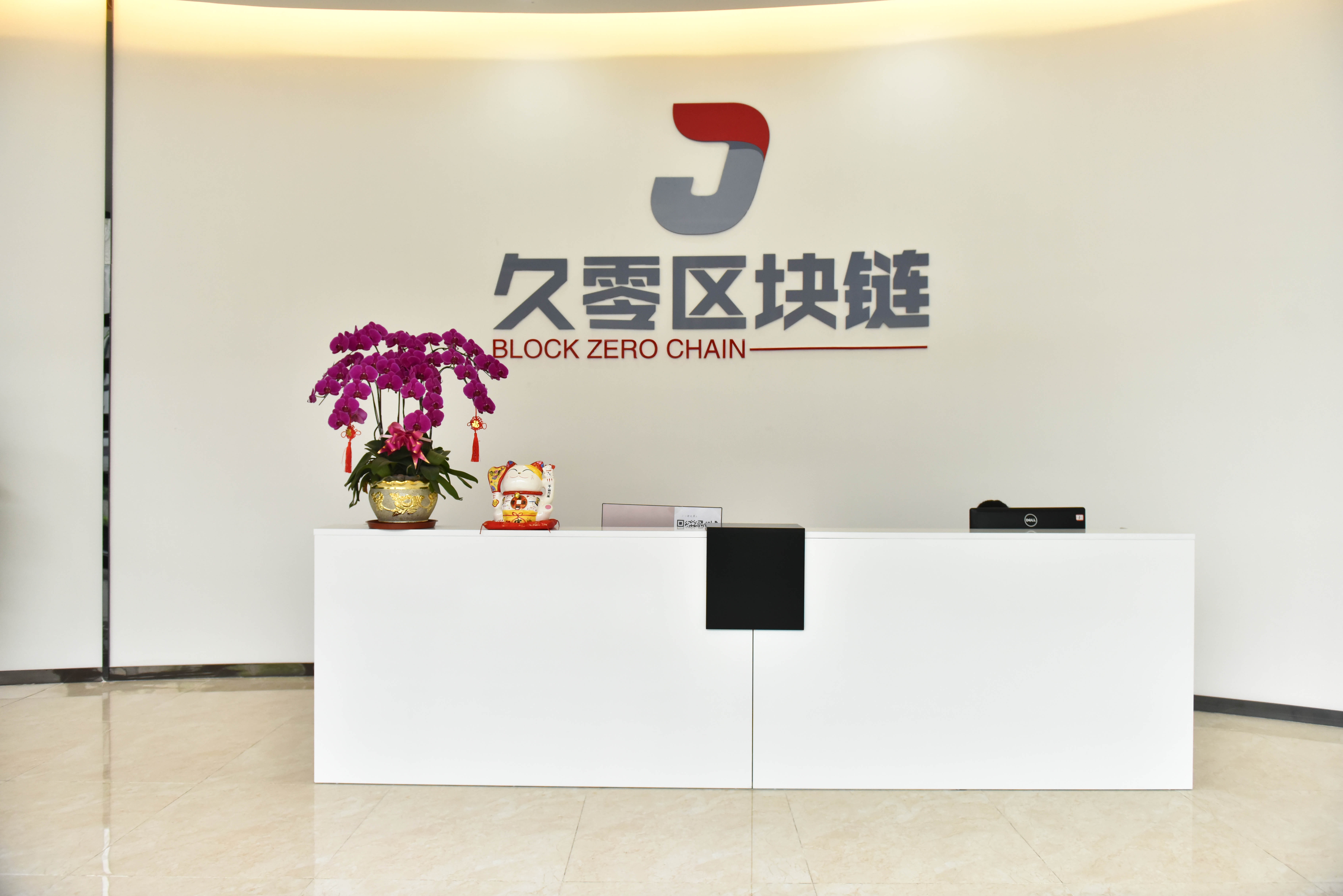中国区块链是个什么公司，中国区块链是个什么公司啊
