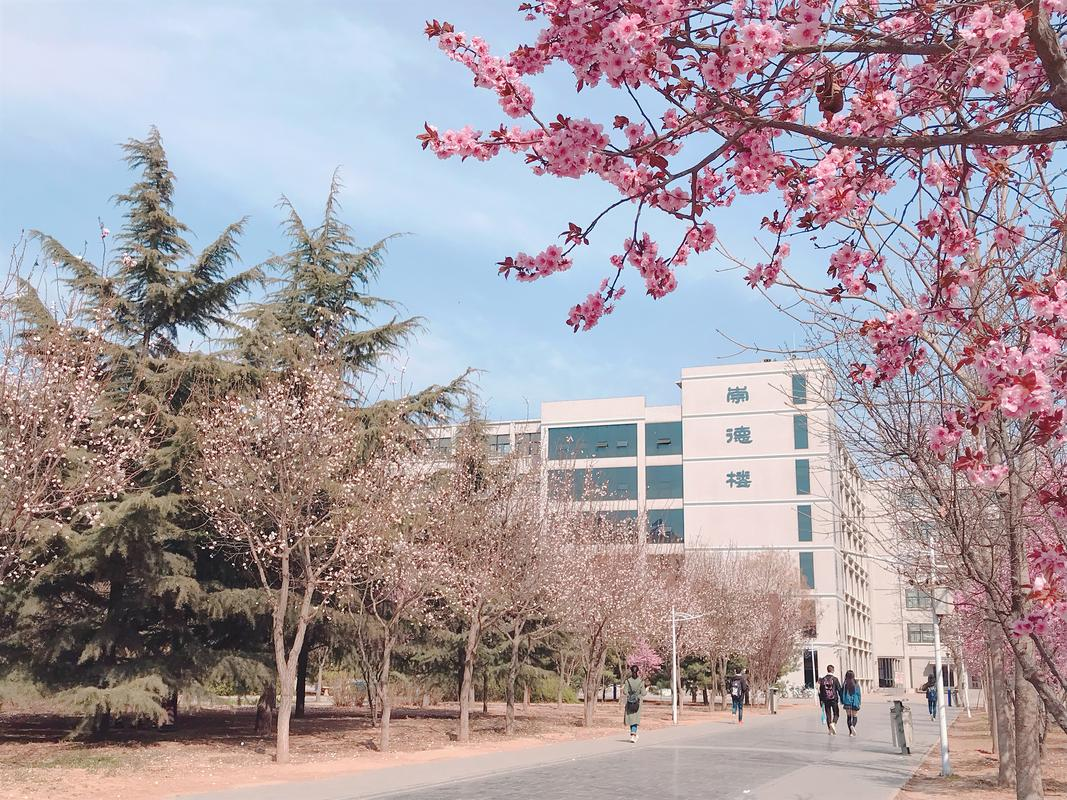 河北农大留学，河北农业大学出国项目