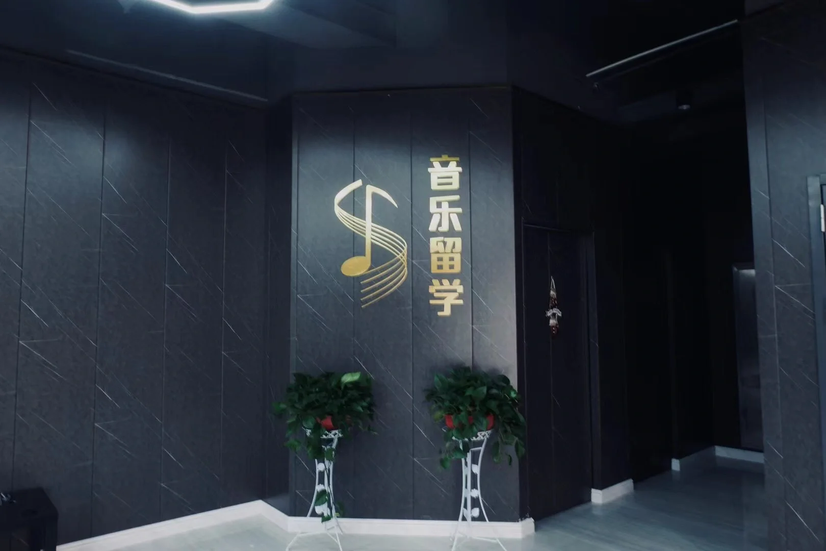 思度留学，留学生网红李真完整版