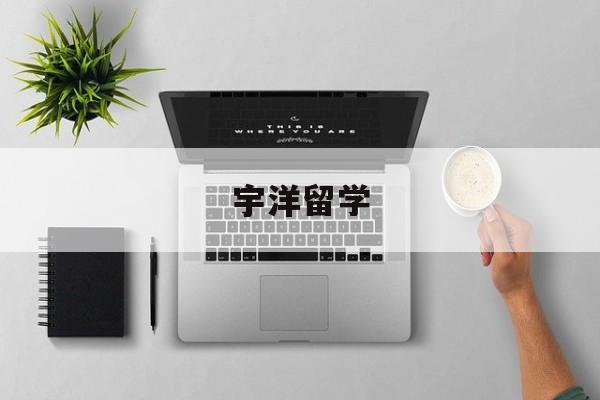 宇洋留学，宇洋教育科技有限公司