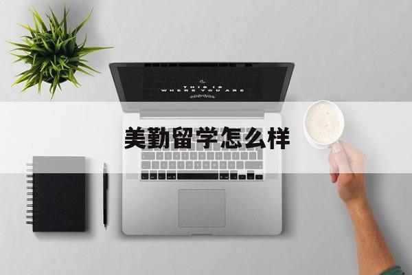 美勤留学怎么样，美勤科技有限公司
